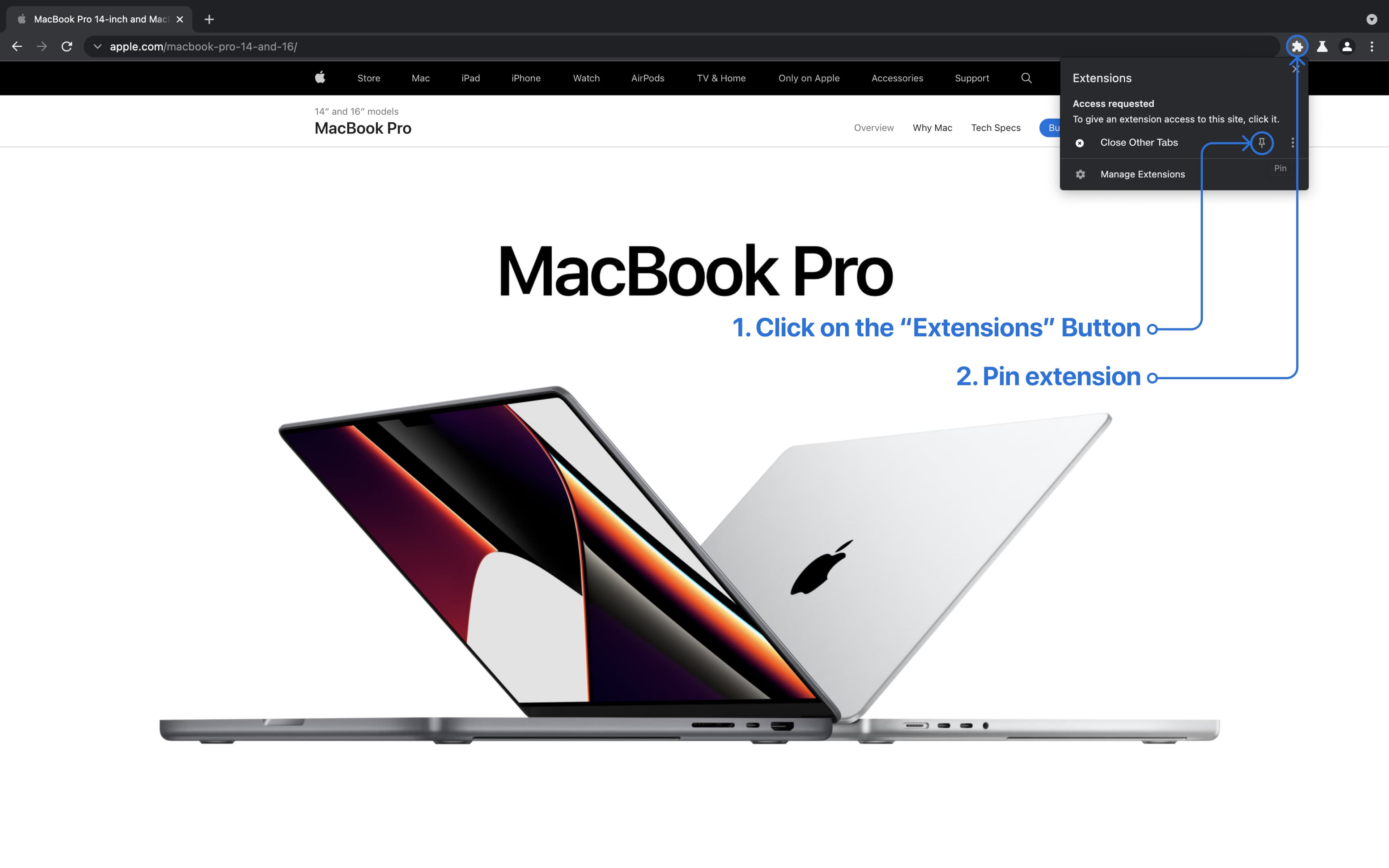 How to pin "Close Other Tabs" extension